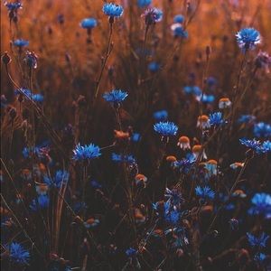 Meet your Posher, Karis